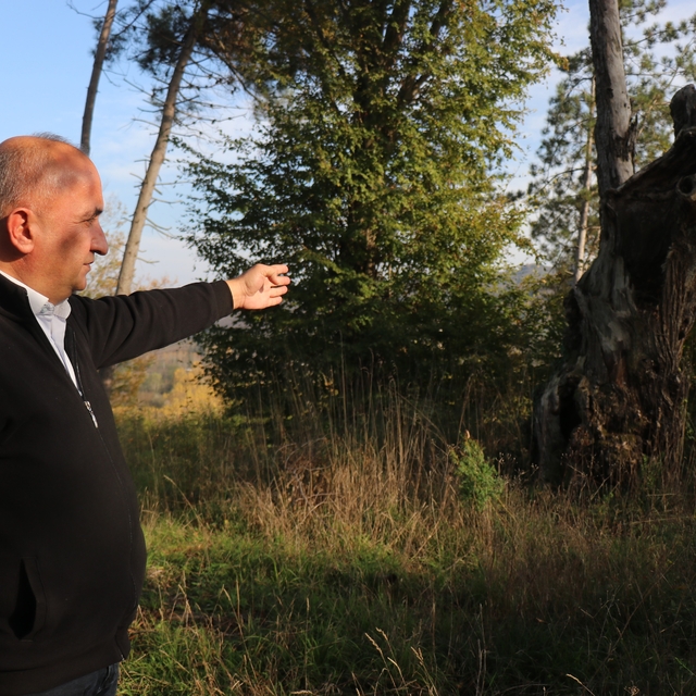 Maneviyat merkeziydi, otluk alana döndü: Mezarlıktan geriye çürümüş ağaç ka...