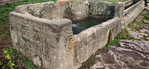 Doğa yürüyüşünde, su oluğu olarak kullanılan lahit buldular