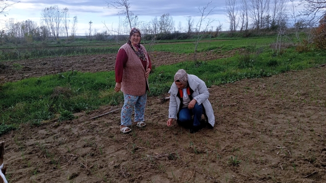 Babaeski'de sera ve sarımsak üretim alanlarında üretim şartları kontrol edildi
