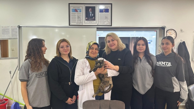 Okul bahçesinde bulunan kalçası kırık kedi, tedavi edildi