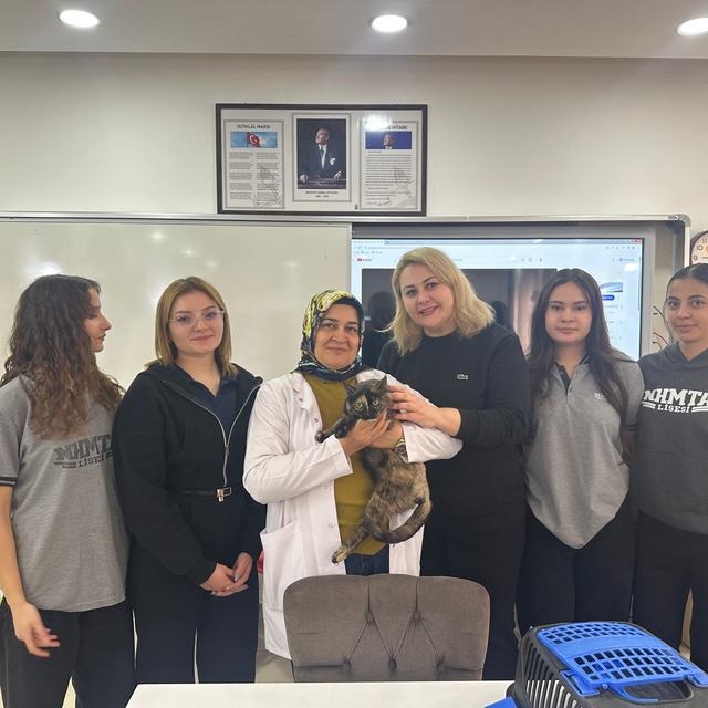 Okul bahçesinde bulunan kalçası kırık kedi, tedavi edildi