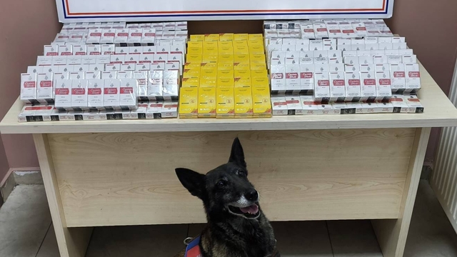Kayseri'de 630 paket bandrolsüz kaçak sigara ele geçirildi