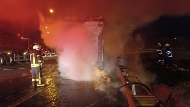 Şanlıurfa'da beyaz eşya yüklü tır alev alev yandı