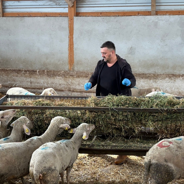 Şap mağduru üreticiler destek bekliyor
10 hayvanından 4'ü kalan Bursalı üre...