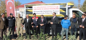 Çiftçilere 4 bin zeytin fidanı dağıtıldı