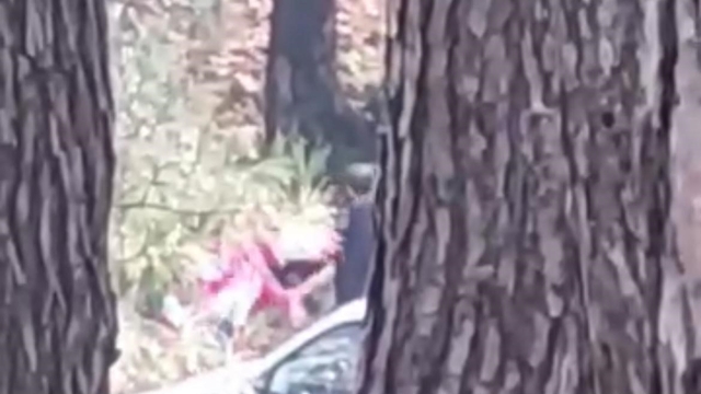 Ormanlık alanda kadını darbeden şüpheli yakalandı