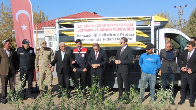 Çiftçilere 4 bin zeytin fidanı dağıtıldı