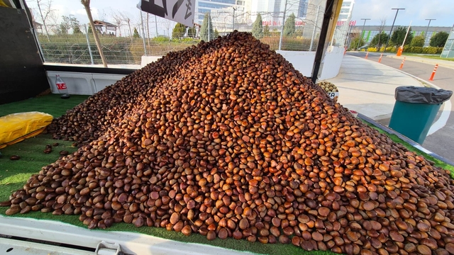 Kestane sezonu açıldı: Kilosu 175 lira
Sokakları ısıtan kış klasiği: Kestanenin dönüşü