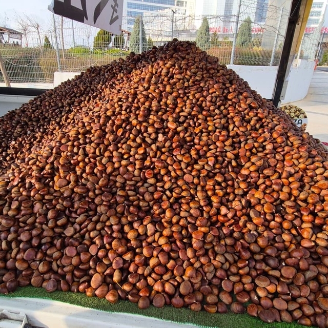 Kestane sezonu açıldı: Kilosu 175 lira
Sokakları ısıtan kış klasiği: Kestan...