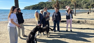 Hayvanseverlerden 'can dostları sahiplendirmek için' seferberlik