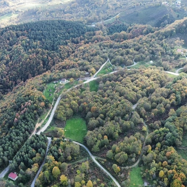 Düzce ormanlarında "renk cümbüşü" yaşanıyor