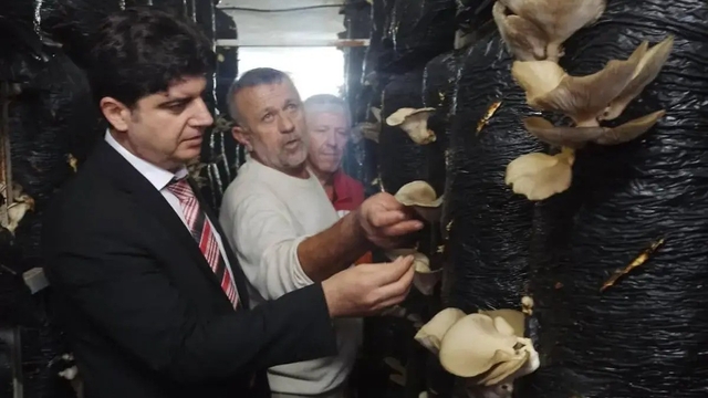 Sinop'ta mantar yetiştiriciliği eğitimi