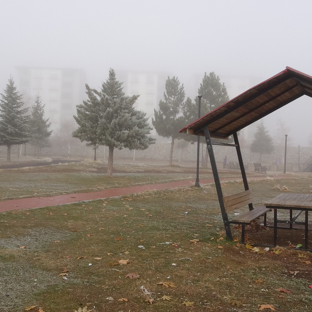 Bitlis'te sis etkili oldu