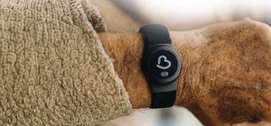 Büyükşehirden Alzheimer, Demans ve Otizm hastalarına "Akıllı Takip Cihazı D...