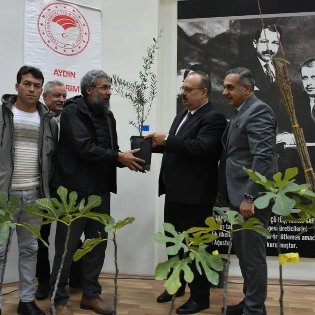 Aydın'da üreticilere 74 bin 90 fide dağıtılacak