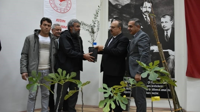 Aydın'da üreticilere 74 bin 90 fide dağıtılacak