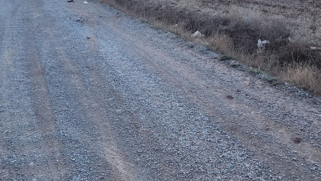 Husumetlileri tarafından, 7 yaşındaki oğlunun gözü önünde vurularak öldürüldü