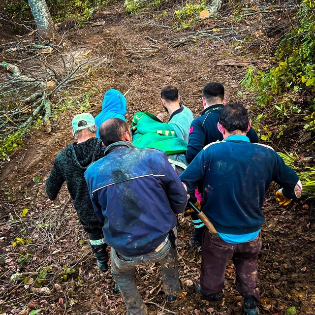 Ağaç keserken yaralanan işçi için seferber oldular
