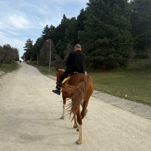 Bindiği at, huysuzlanıp koşmaya başlayınca panik yaşadı; o anlar kamerada