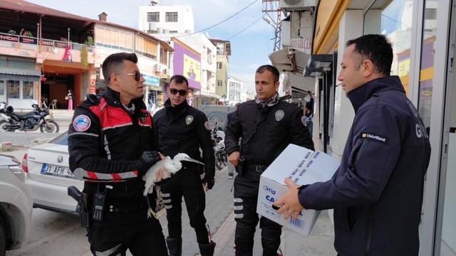 Hatay'da polis ekiplerinin bulduğu yaralı ak balıkçıl tedaviye alındı