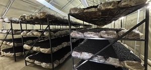 İlçenin ekonomisine yeni soluk