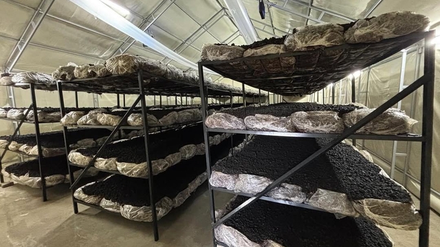 İlçenin ekonomisine yeni soluk