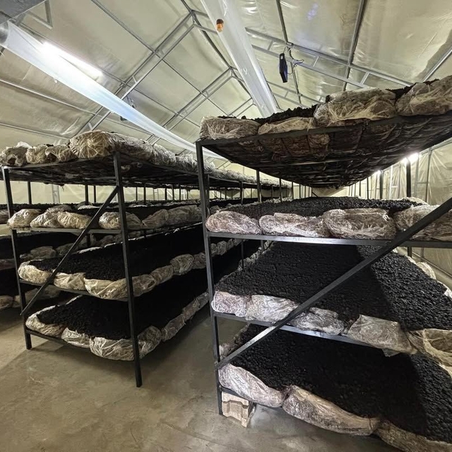 İlçenin ekonomisine yeni soluk