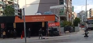 Sürücüsünün geri manevra yaptığı kamyonetin çarptığı Nisanur, öldü