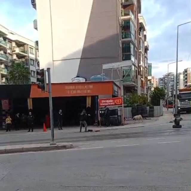 Sürücüsünün geri manevra yaptığı kamyonetin çarptığı Nisanur, öldü