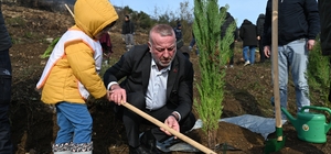 Karacabey'de yangın sonrası ilk fidanlar toprakla buluştu