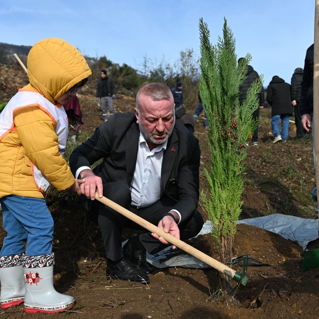 Karacabey'de yangın sonrası ilk fidanlar toprakla buluştu