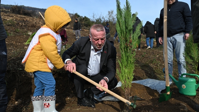 Karacabey'de yangın sonrası ilk fidanlar toprakla buluştu