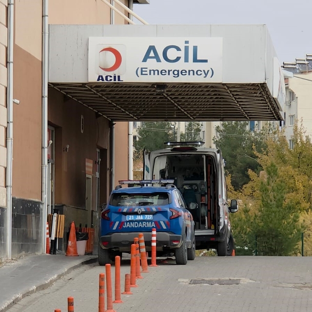 Diyarbakır'da damat katliamı: Kayınbabası ve kayınbiraderini öldürdü