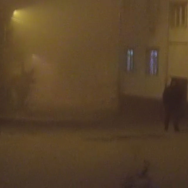 Develi'de yoğun sis etkili oldu