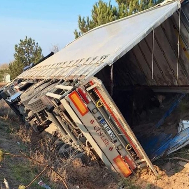 Kırıkkale'de tır devrildi: 5 büyükbaş hayvan telef oldu