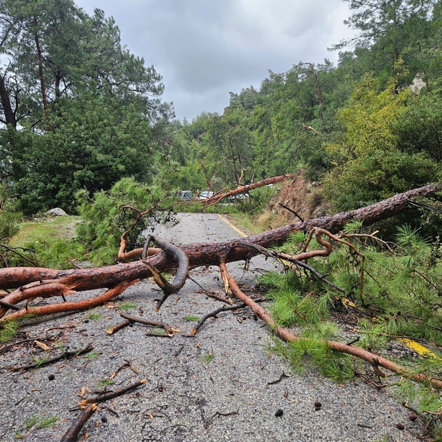 Menteşe Akbük'te şiddetli yağış ve rüzgar etkili oldu
