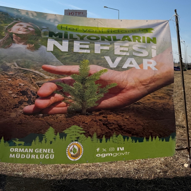 Cizre'de havalimanı yolu 450 fidan ile yeşilleniyor