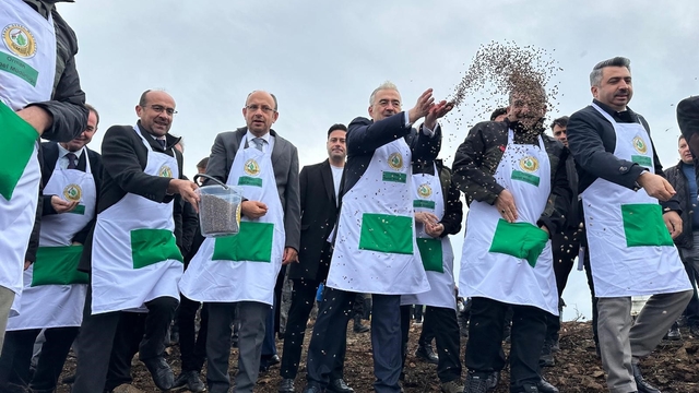 Harmancık'ta yanan 4 bin 256 hektar alan ağaçlandırılıyor