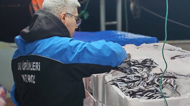 Gelibolu'da 45 kilo balığa el konuldu, 37 bin 770 lira para cezası kesildi
Su ürünleri avcılığında denetimler devam ediyor