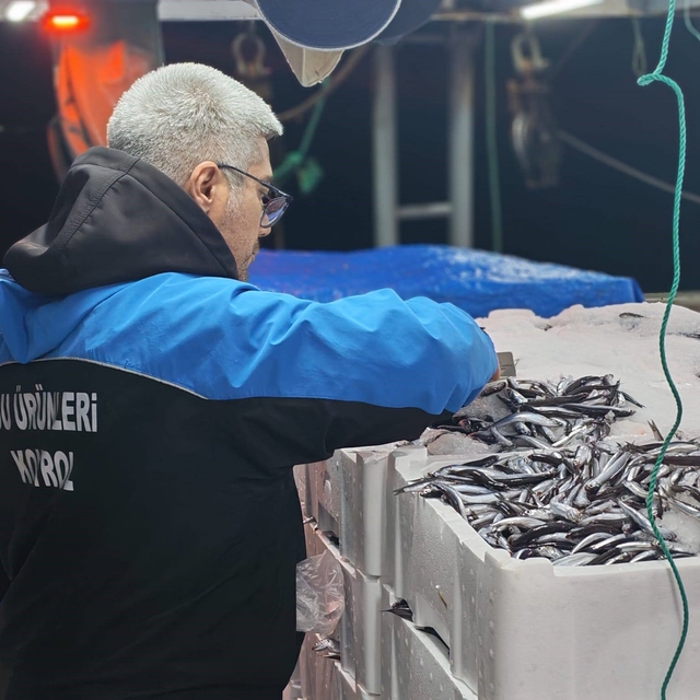 Gelibolu'da 45 kilo balığa el konuldu, 37 bin 770 lira para cezası kesildi...