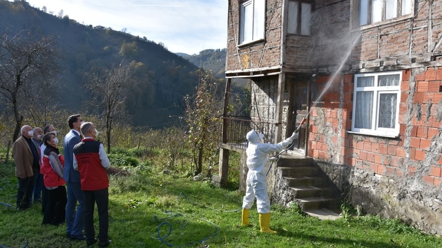 Ordu'da kokarca ile mücadele kapsamında 50 bin kışlak ilaçlandı
