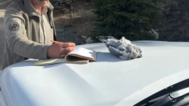 Burdur'da kaçak avcılık yapan 4 kişiye 40 bin lira ceza