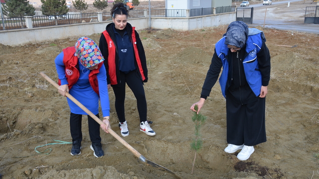 Kahramanmaraş'ta şehit 20 askerin ismi fidanlarda yaşayacak