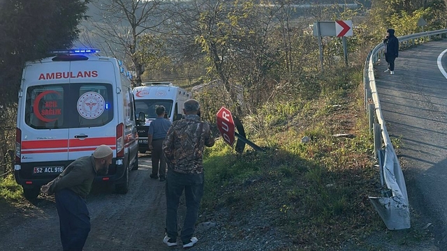 Otomobil fındık bahçesine uçtu; anne ve kızı yaralandı