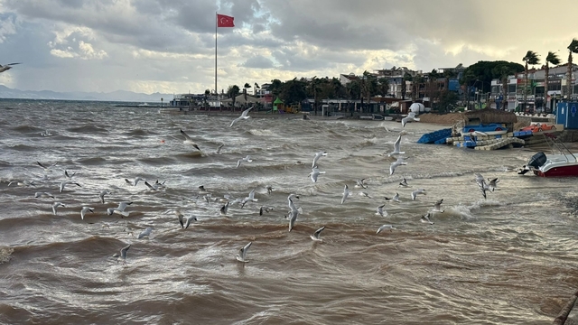 Aydın'da şiddetli yağış etkili oldu