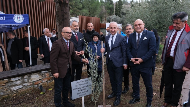 Stratonikeia antik kentinde zeytin hasadı festivali yapıldı