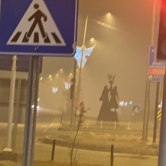 Iğdır'da gece saatlerinde yoğun sis etkili oldu