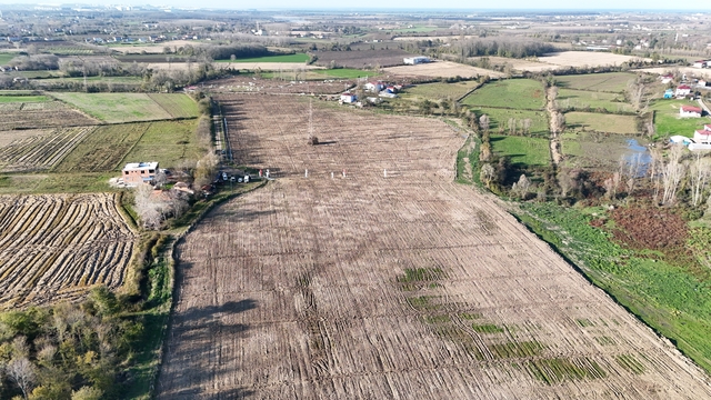 Karadeniz'in en büyük incir projesi: 50 milyon TL gelir kız çocuklarına verilecek