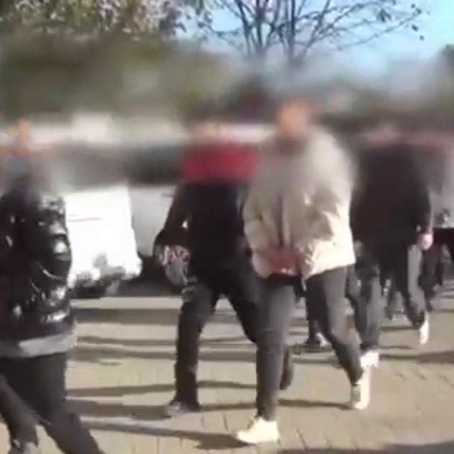 Ordu merkezli 3 ilde 'dolandırıcılık' operasyonu; 3 tutuklama