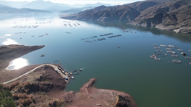 Denizi olmayan Tokat'ın somonları dünya sofralarına ulaşıyor
Dağların arasından deniz aşırı pazarlara Türk somonu yolculuğu başladı